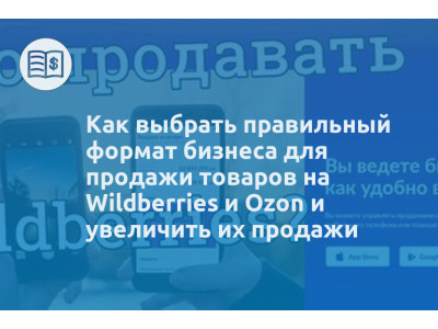 Как выбрать правильный формат бизнеса для продажи товаров на Wildberries и Ozon и увеличить их продажи