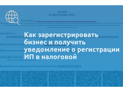 Как зарегистрировать бизнес и получить уведомление о регистрации ИП в налоговой