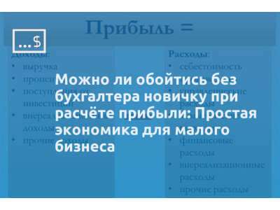Можно ли обойтись без бухгалтера новичку при расчёте прибыли: Простая экономика для малого бизнеса